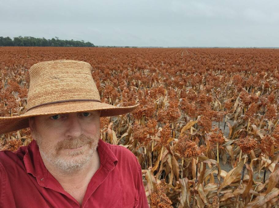 AgForce Grains president Brendan Taylor on his farm at Warra west of Dalby, said it was "too early to tell" if rain would negatively impact the sorghum harvest. Picture: Supplied