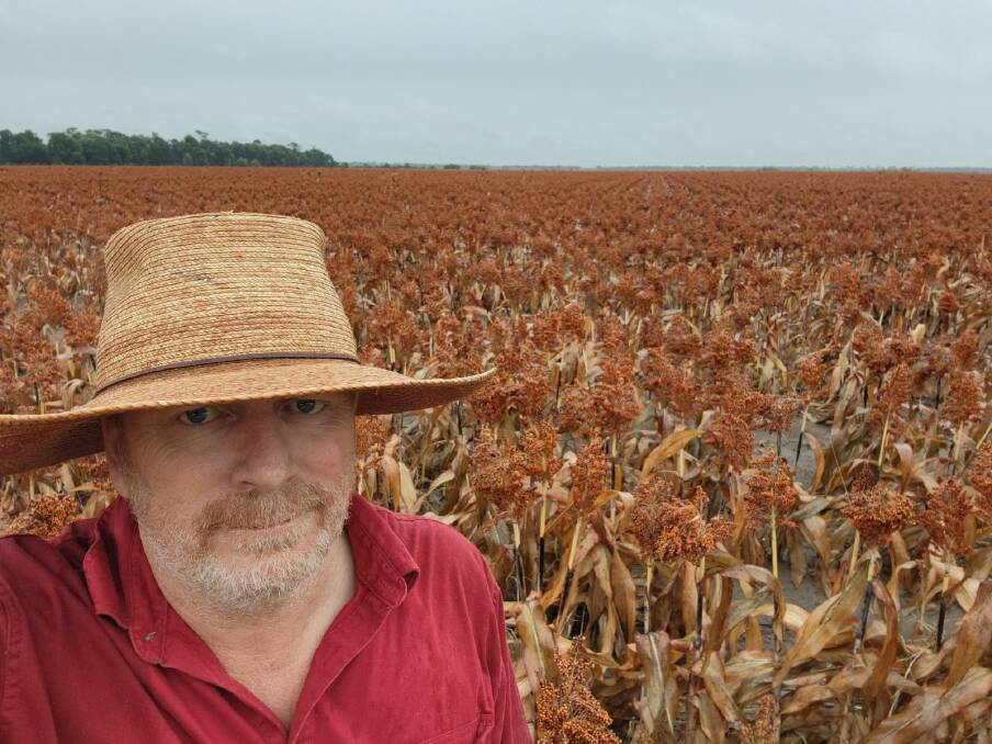 AgForce Grains president and Grain Producers Australia board northern region director Brendan Taylor said persistent rains had caused some sorghum sprouting which could drastically reduce the quality and thus the price of the state harvest. Picture: Supplied