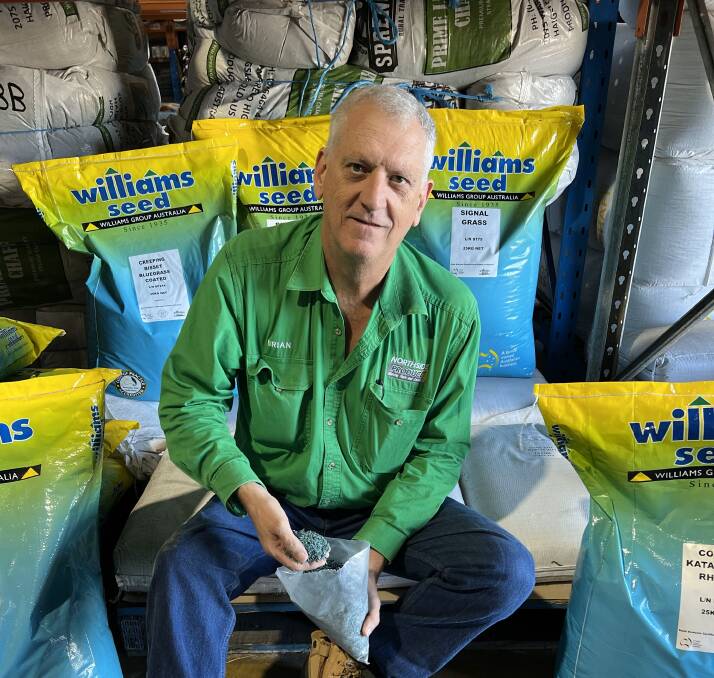 Bundaberg agronomist and Northside Produce owner Brian Gordon said Bluegrass seed was in demand for permanent pasture improvement. Picture: Supplied