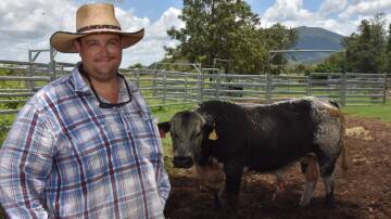 As part of succession planning, Blair Plains has passed from Travis Parry to a family of local Wagyu producers. Picture: Steph Allen