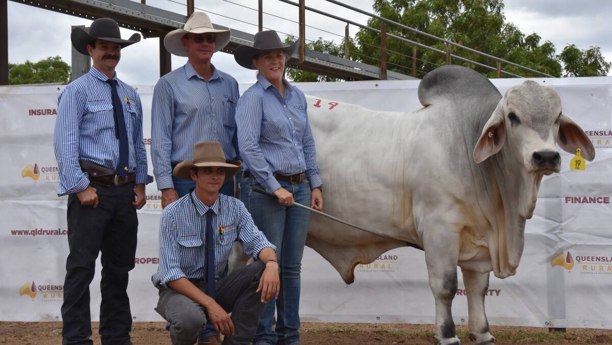 Sale top price bull, Viva Memphis, with vendors Pam and Alastair Davison, Viva Brahmans, Middlemount, and Queensland Rural's Harry Clayton, Emerald, and Ben Hewitt, Charters Towers. Picture: Steph Allen
