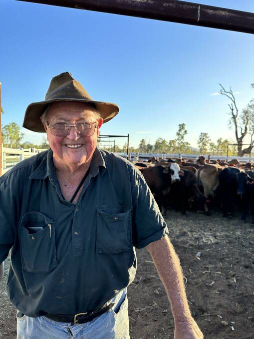 Reg Garside, inducting cattle into the feedlot on of the Garside properties, Calderwood. Picture: Ria Heath