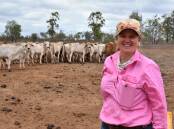 Kylie Stretton has about 60 weaners on her Red Hill property, north-east of Charters Towers. Picture: Steph Allen