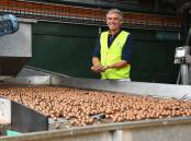 Suncoast Gold Macadamias general manager Julian Lancaster-Smith at their processing plant in Gympie. Picture by: Kelly Mason