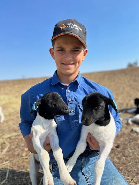 Pat York with two of his Dorper lambs. Picture: Supplied
