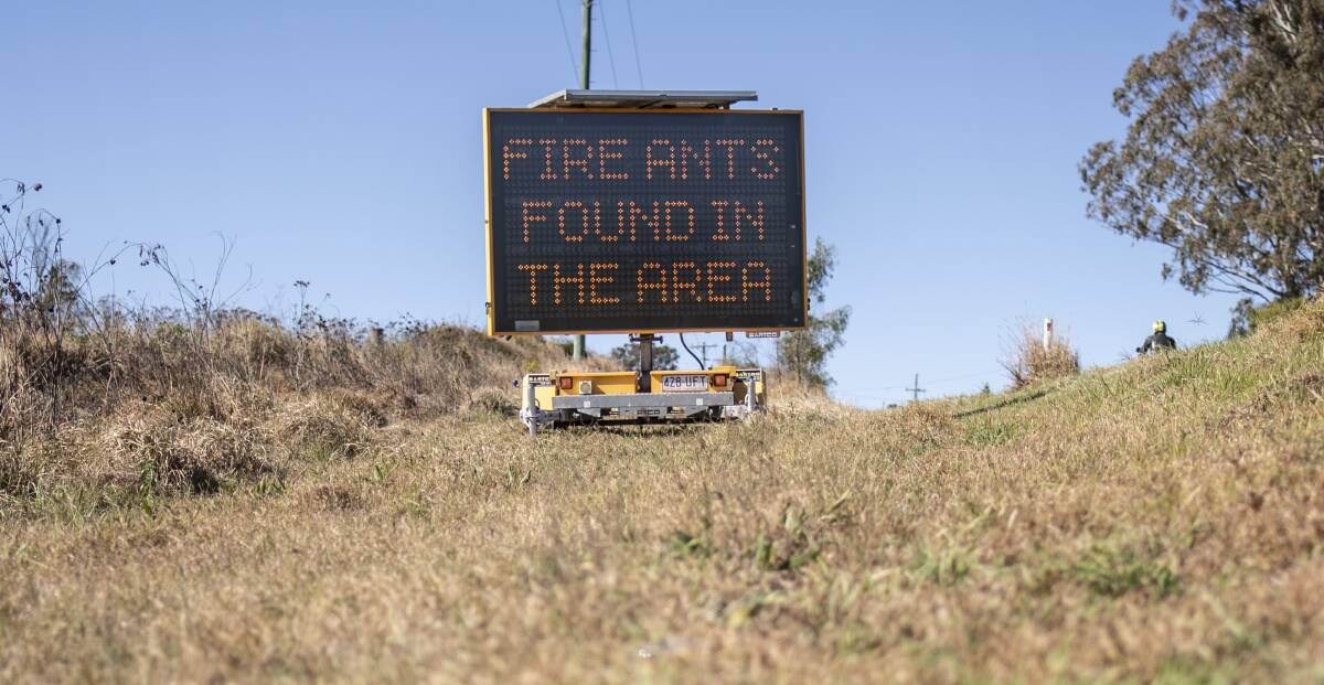 Fire ant biosecurity zones have impacted producers in the Scenic Rim. Photo: File