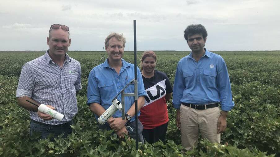 COTTON ON: Tom Dowling from Goanna Ag holding the new temperature sensor, with CSIRO researchers Michael Bange, Victorial Smith and Hiz Jamali