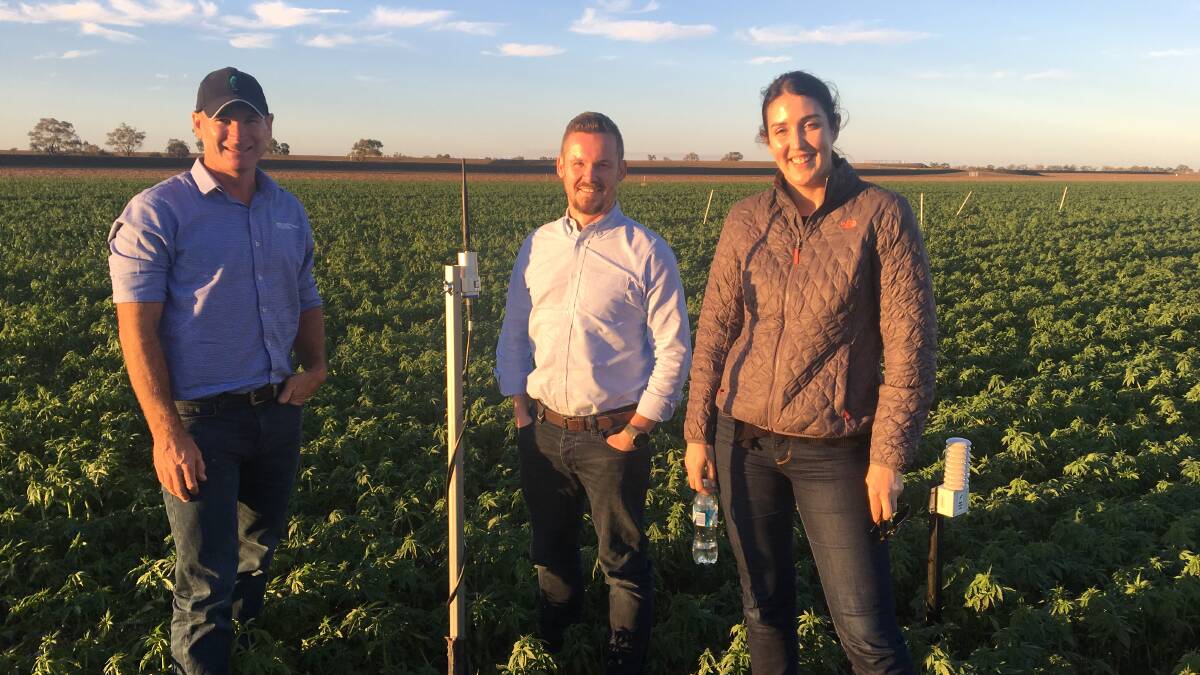 OUTSTANDING IN THE FIELD: Tom Dowling, general manager of GoannaAg with Anthony Potts, director principle investments, Westpac and Alicia Garden, CEO of GoannaAg.