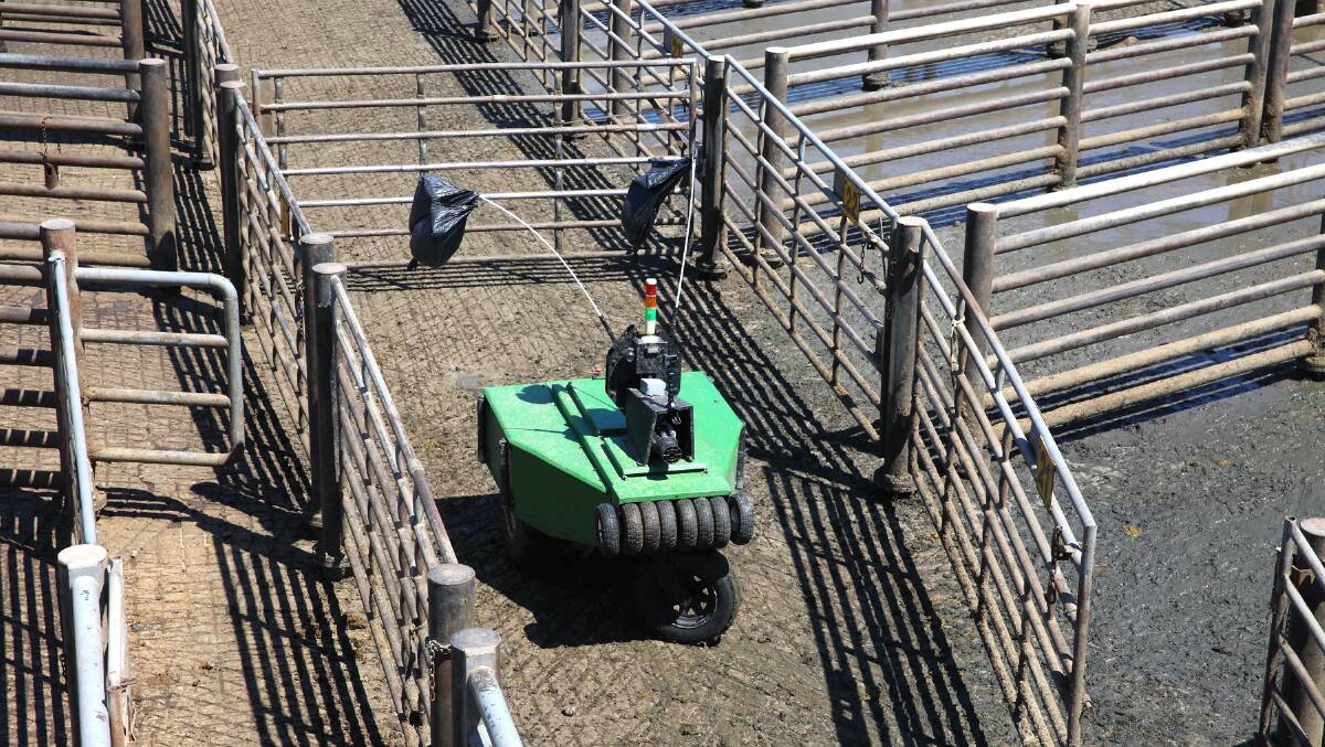 RHINESTONE COWBOY: Cargill have announced its robotic cattle herder.