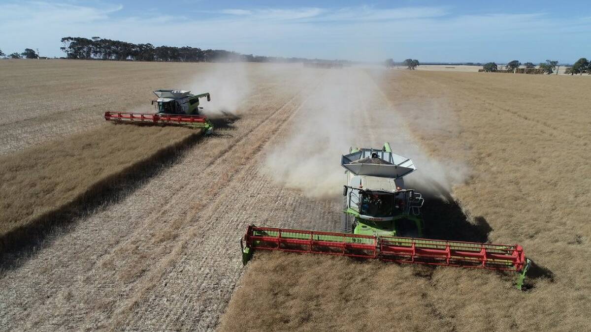ON THE JOB: The new Claas Lexion 8000/7000 series was demonstrated across a number of farms in Victoria, South Australia and Tasmania throughout last year's harvest. 