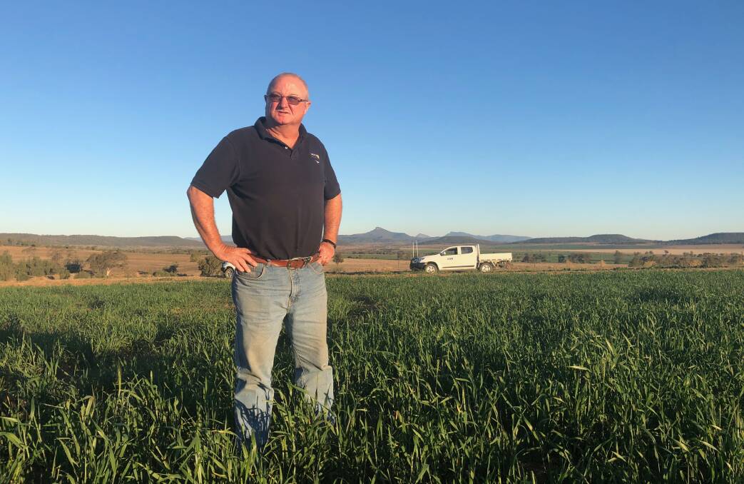 Crop outlook: Delta Agribusiness consulting agronomist Graeme Callaghan checks a crop of wheat running to head in the Coonamble district. 
