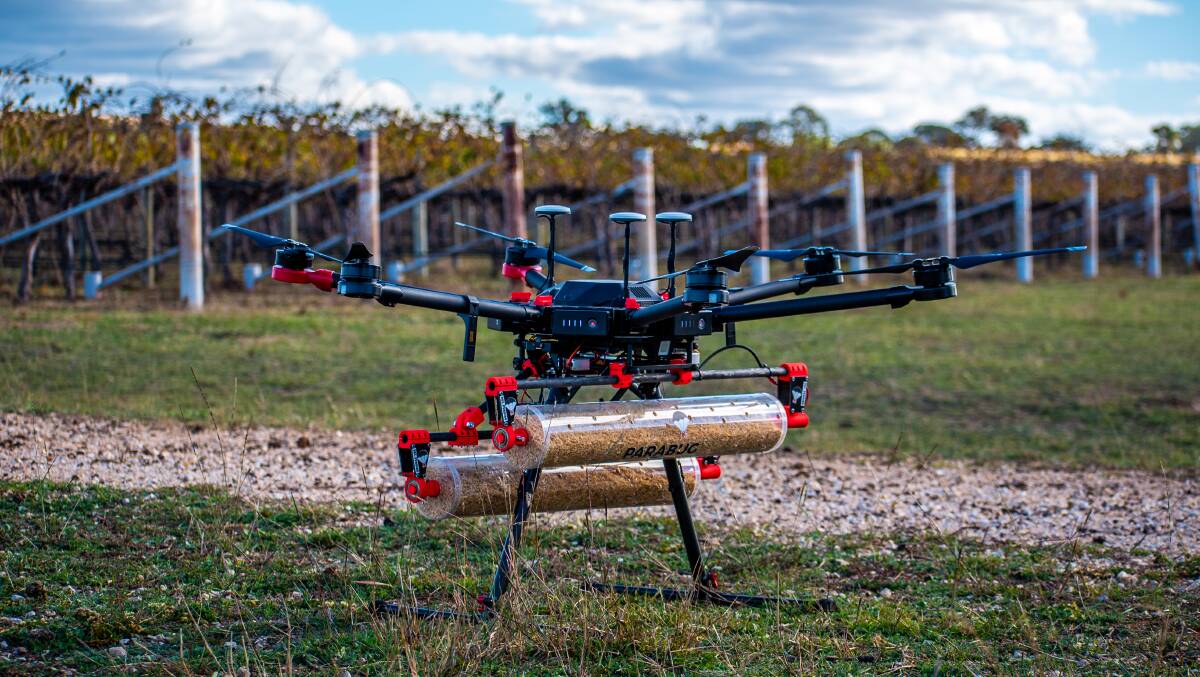 The Parabug drone about to launch in a vineyard. Photo: Parabug.