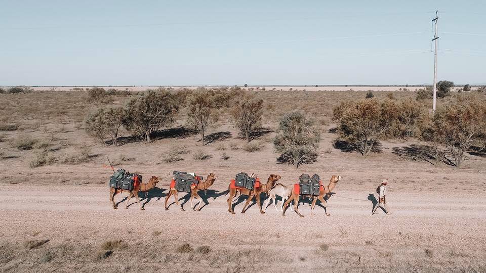 THE MONEY OR THE CAMELS: John Elliot is travelling across Australia with his camel train.