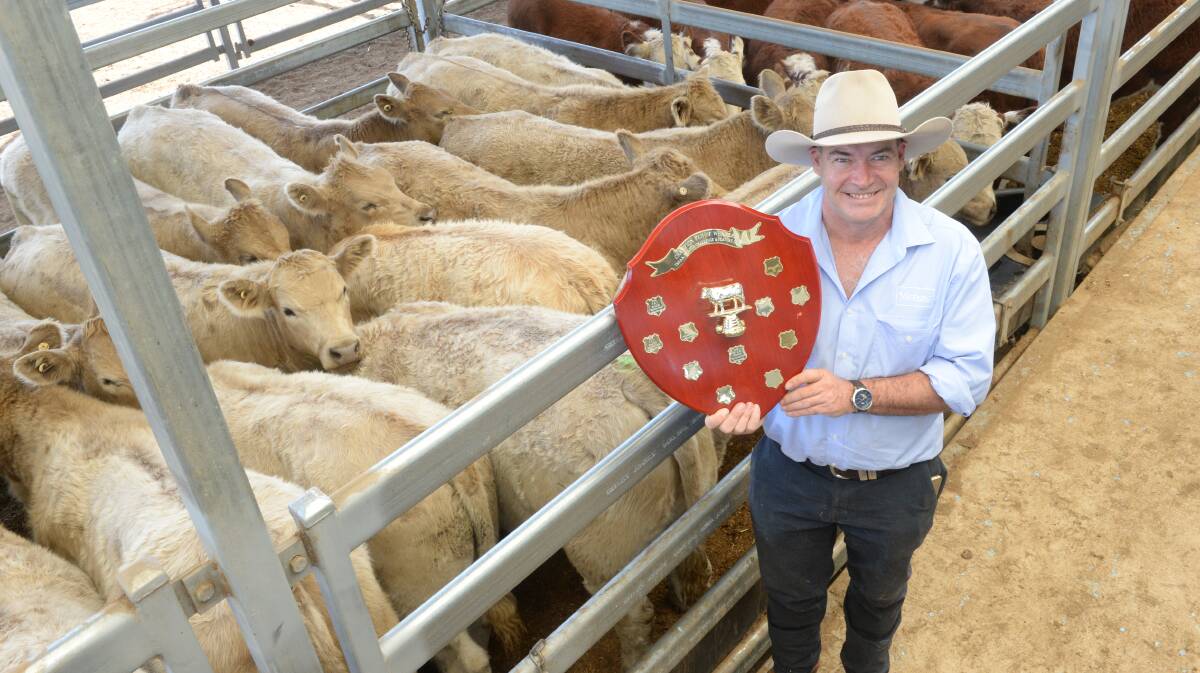 Virbac area sales manager Andrew Mulligan, Tamworth pictured with the champion pen of weaner steers and overall champion in place of vendors George and Sue Lyon, The Springs, Nowendoc. Photo: Rachael Webb 

