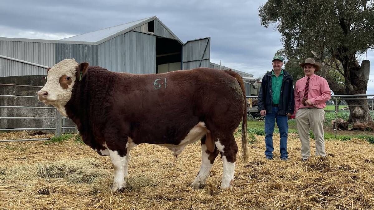 Tennyson Rielly (PP) sold for $22,000 and booked through Elders Naracoorte, SA, with stud principal Ian Baldry and auctioneer Lincoln McKinlay, Elders.