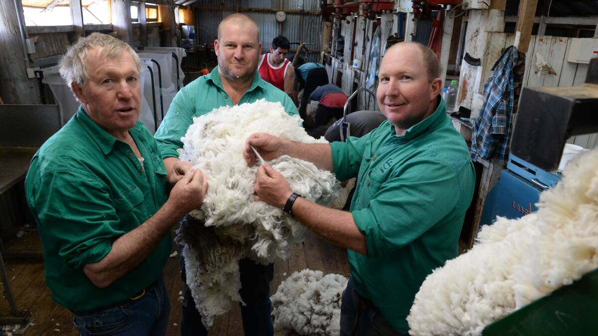 Warwick, Ross and Jock Fletcher take pride in one of their superfine Merino fleeces.
