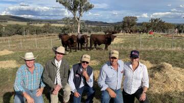 Top priced Shorthorn bull at $60,000 (right in front) - Jeff Schuller, Paul Dooley, Gerald Spry and Greg and Megan Schuller, Outback Shorthorns, Culcairn. 
