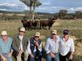 Top priced Shorthorn bull at $60,000 (right in front) - Jeff Schuller, Paul Dooley, Gerald Spry and Greg and Megan Schuller, Outback Shorthorns, Culcairn. 