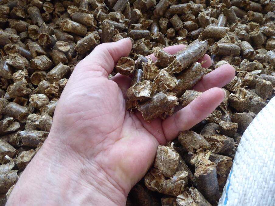 The straw pellets produced by the Krone machine direct from the windrow. The straw pellets are four times the density of straw in the bale. So one bulka bag of pellets contains about 2 HDP straw bales. Photo: Andrew Lang
