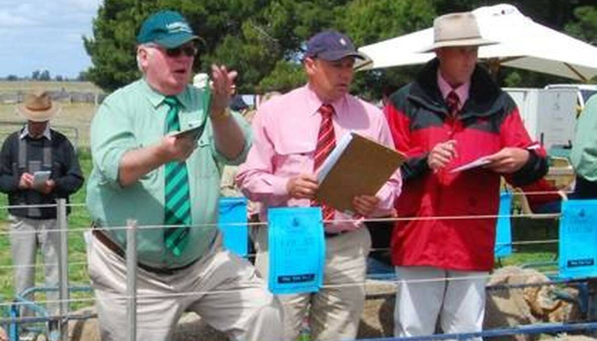 Kevin Norris in full flight at One Oak Poll Merino ram sale, Jerilderie, in 2011, with Ron Rutledge and Trevor Basset, Elders. 
