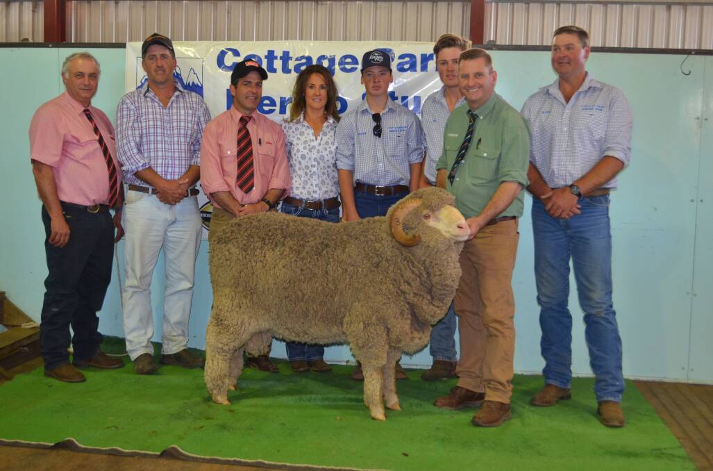 With the $31,000 Merino ram at Cottage Park, Cooma: Scott Thrift, Elders, Dubbo, buyer Steve Tozer, Main Range Merinos, Cooma, Sam Green, Elders, Cooma, Jodie, Charlie, Will and Mark Pendergast, Cottage Park, Cooma with Landmark auctioneer Rick Power parading the ram. 