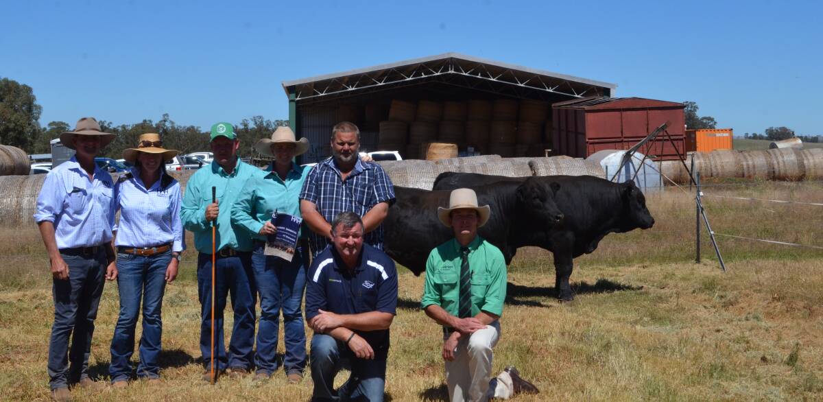 John and Nicole Hopkins, Stuart and Samantha Moeck with buyer of top priced bull Craig Wooding. In front Jamie Gray, TDC, Penola, SA and auctioneer Hamish McGeoch.
