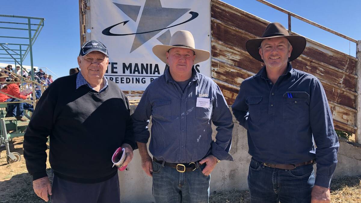 Volume purchasers: Daryl and Grant Ford, Kiaka, Tea Gardens, with Cattle Transporter Stephen Smith, Dick Smith Transport (centre). Photo: Te Mania