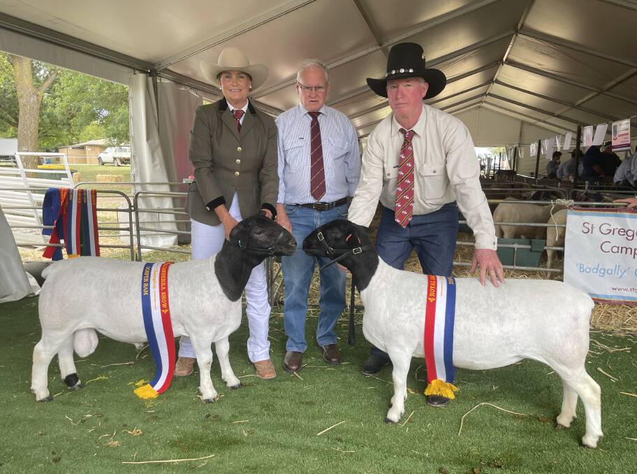 Wendy Eisentrager, Eisentrager Dorpers, Longreach, with judge Kelvin Kronk, and Mick Bichsel, with the champion Dorper ram and ewe.