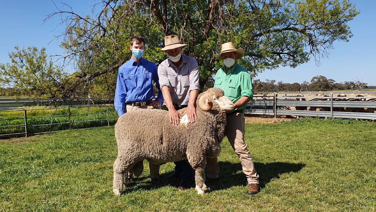 Angus Heath, Willandra, Jerilderie, with Michael Green, Boudjah, Cooma, and Rick Power, Nutrien stud stock with WIL XL.
