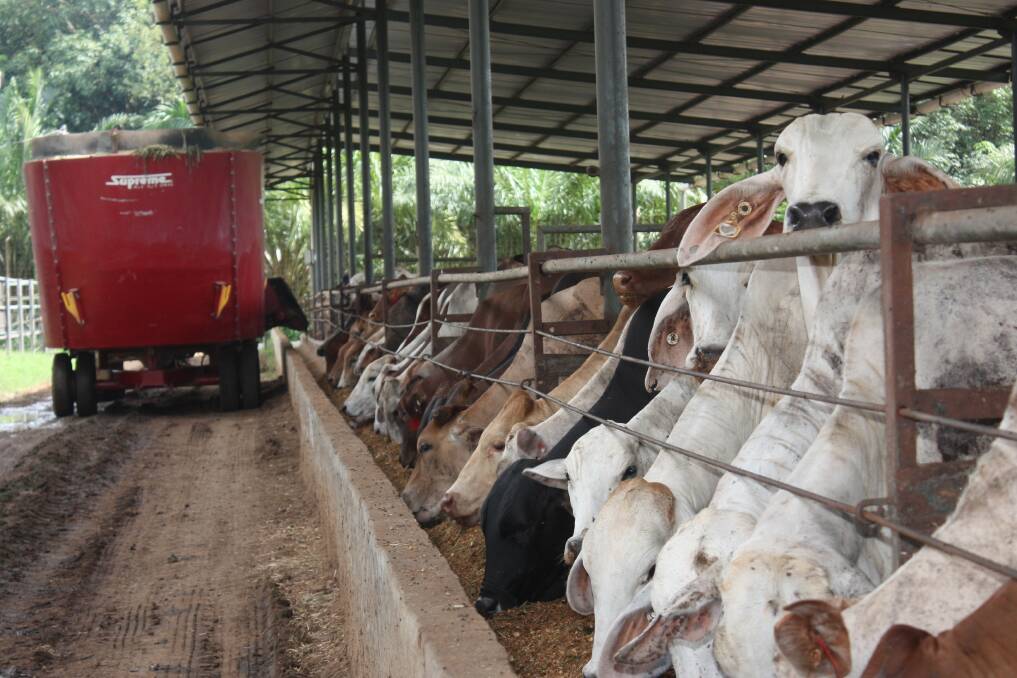 Elders' Indonesian feedlot at Lampung which fattened about 12,700 feeder steers last financial year, has been sold to Indonesian-Australian company Pramana Austindo Mahardika.