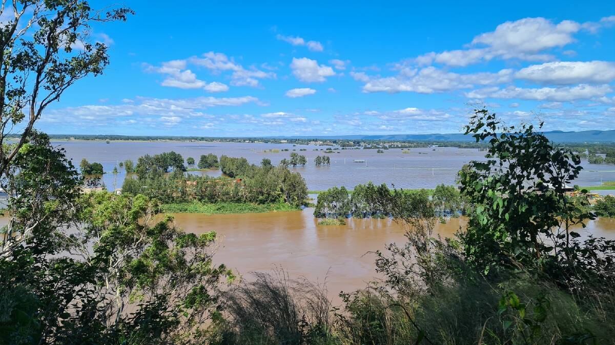 The flooded western bank of the Hawkesbury River spilling east from Freeman's Reach.