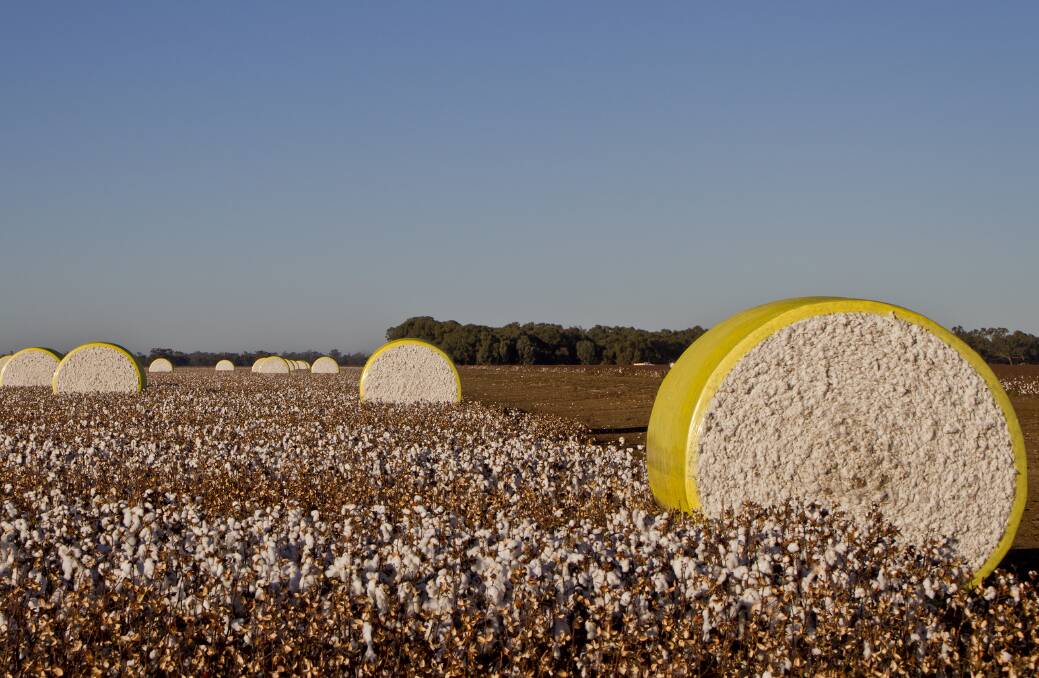 Weilin's modest debt payment offer banked by cotton creditors