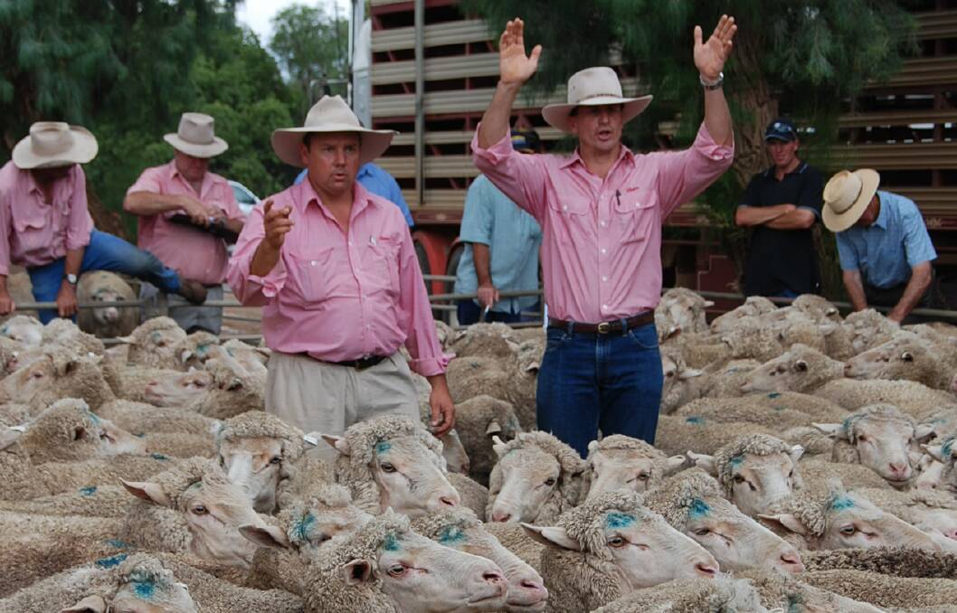Elders tips two more years of ag good times as profit rises 34pc