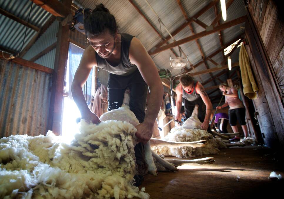 Shearing on one of Hassad Australia's numerous farming aggregations accumulated since 2010, but now in the final stages of being sold off to Macquarie Group.   