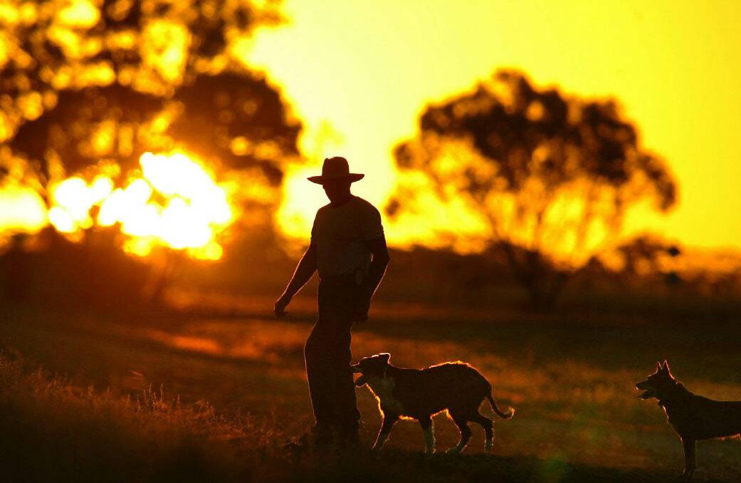 Farmers fume as Canberra politicks on climate, energy policies