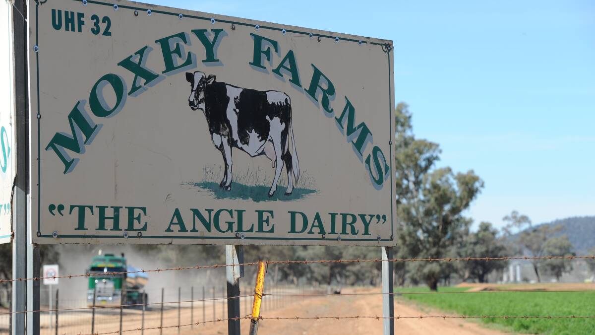 Big Moxey dairy farming group expands to Shepparton
