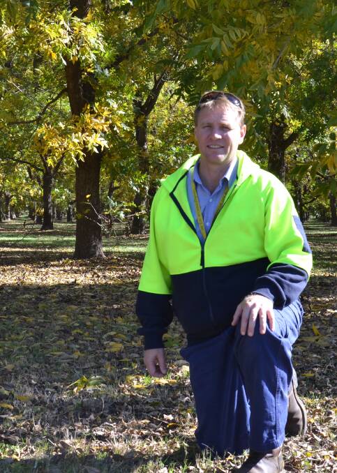 Chief executive officer, Ross Burling says new investment blood in Stahmann's operations will take advantage of booming demand for tree nuts to fund expansion at new and existing locations in NSW and Queensland.