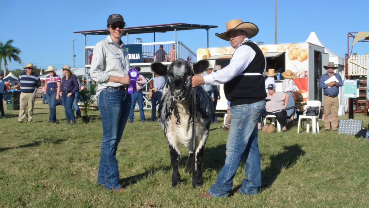 CALF CHAMPION FEMALE: Stacey Warrener, Beth Vide Speckle Park, Toowoomba sashed Sowden Eva TH Diva led by owner Matt Sowden, Sowden Speckle Park, Kingaroy
