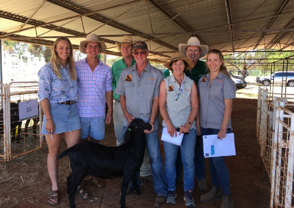 Nicole Seakamp and Ross Gates (left) with a Bunnaloo Black doe at the Cobar Red and Black Goat Sale. Photos: supplied 