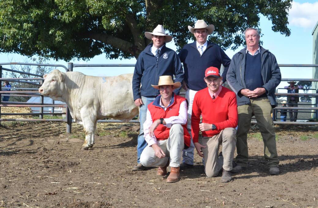 The $28,000 sale topper with vendor James Millner, auctioneer Paul Dooley, buyer Peter Hewett, and (kneeling) agents Todd Clements, Bowyer and Livermore and Andrew Bickford, Elders. 