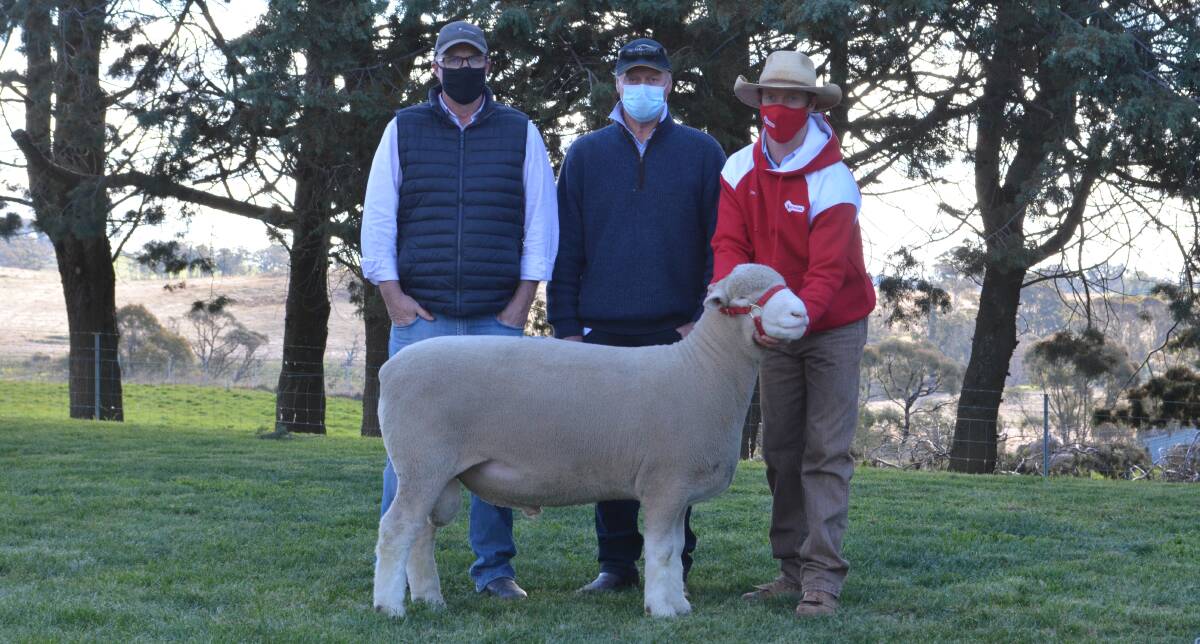 The $36,000 high-seller with buyers Karl Sinclair of Kinsale Poll Dorsets, Lidster near Orange, and Garry Armstrong of Armdale Park Poll Dorsets, Marrar, and James Gilmore of Tattykeel Poll Dorsets, Oberon. 