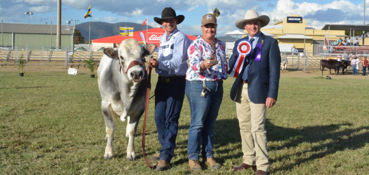 Grand champion Piedmontese bull Scenic Rim Colton led by Neil Goestch, Kalbar, with Nicole Jovanovic, Kalbar and judge John Mercer, Kandanga. 