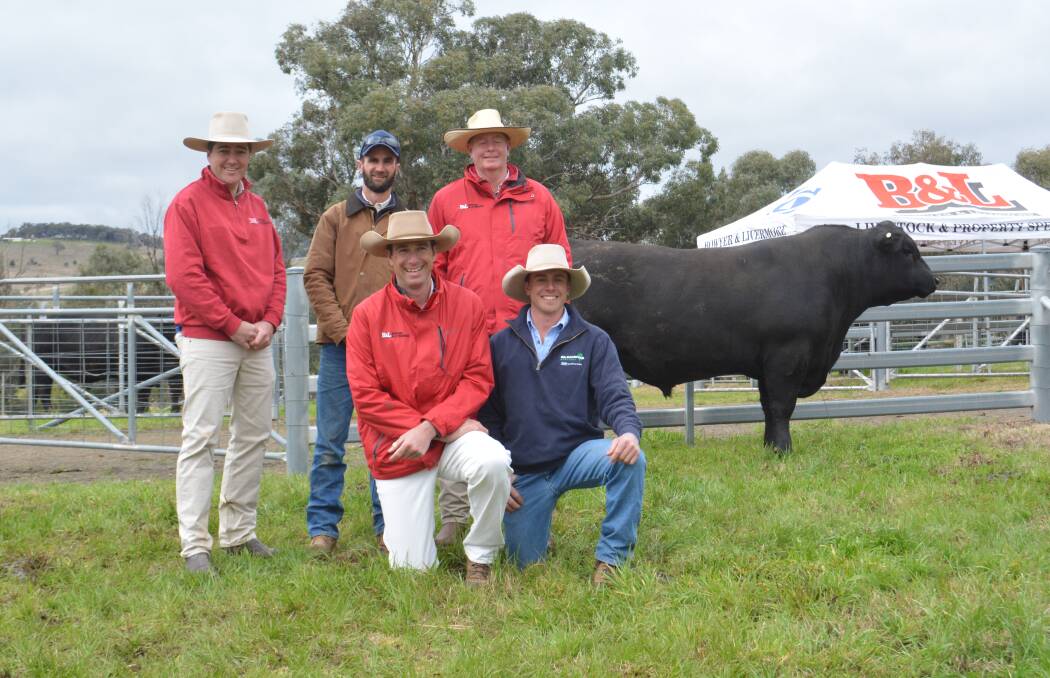 SALE-TOPPER: The $55,000 top-priced bull, Gilmandyke Exclusive S133 with auctioneer Nick Fogarty, Bowyer & Livermore (B&L), Bathurst, Gilmandyke general manager Wade Peatman, Orange, buyer representative Justin Guy, B&L, and (kneeling) Todd Clements, B&L, and Gilmandyke stud manager Peter McNamara. 