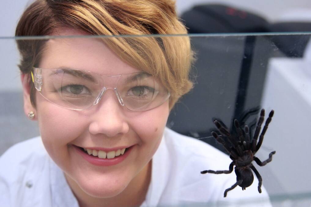 PhD student Samantha Nixon, Brisbane, with a Queensland whistling tarantula. She hopes to transform spider venom into new anti-parasitic drugs.  