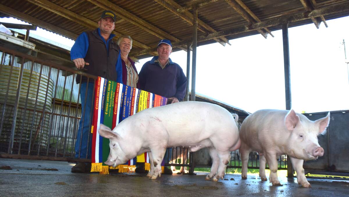 James, Gwen and Chris Dockrill, Casino, run a piggery of about 150 sows of which two-thirds are either purebred Large White, Landrace or Hampshire sows. Photo: Jamie Brown 