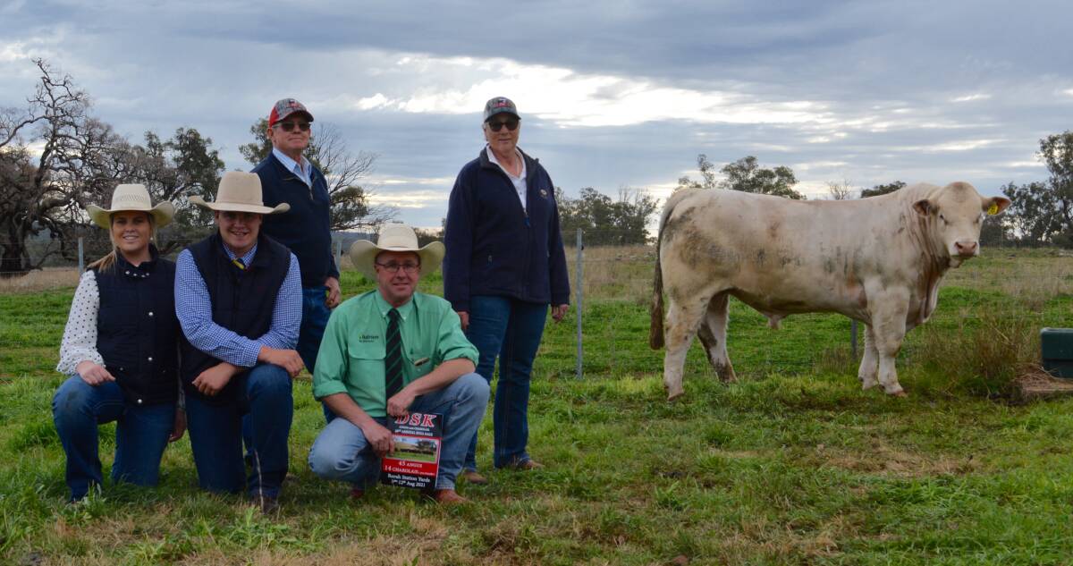 SALE-TOPPER: The $18,000 Charolais bull with vendors (standing) Chris Knox and Helen Alexander of DSK Angus and Charolais, and (kneeling) Grace Purtle and Michael Plevey of Purtle Plevey Agencies, Manilla, and Scott Cooper, Nutrien Gunnedah. 