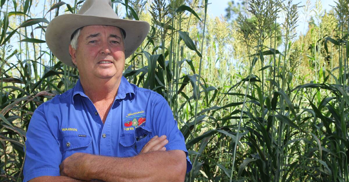 On top: 2016 Tablelands grower of the year, Warren Jonsson, a cropping farmer, grazier and businessman.