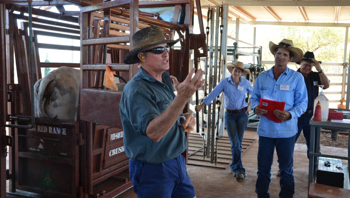 Northern Breeding: Leading veterinarian Dr Ian Braithwaite will host herd efficiency workshops in Cloncurry and Julia Creek this month.