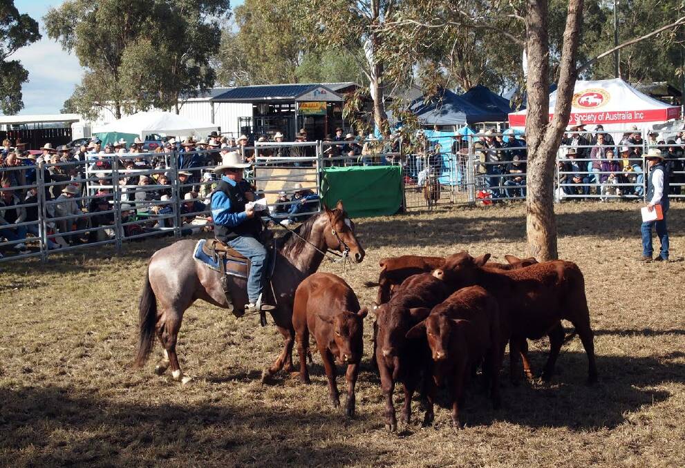 More than 2,000 products and services will be showcased at CRT FarmFest this year, confirming the field days as the biggest annual agricultural event in Queensland.