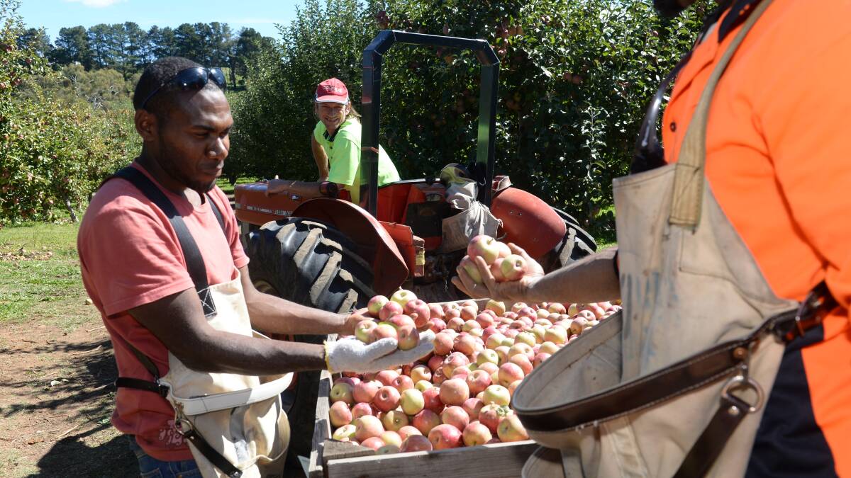 States urged to join pre-travel quarantine trial for seasonal workers